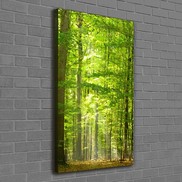 Cuadro canvas decorativo para salón vertical bosque de hayas