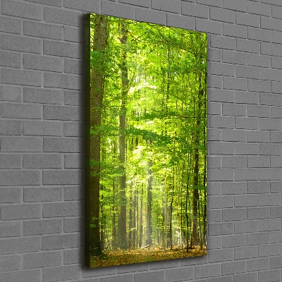 Cuadro canvas decorativo para salón vertical bosque de hayas