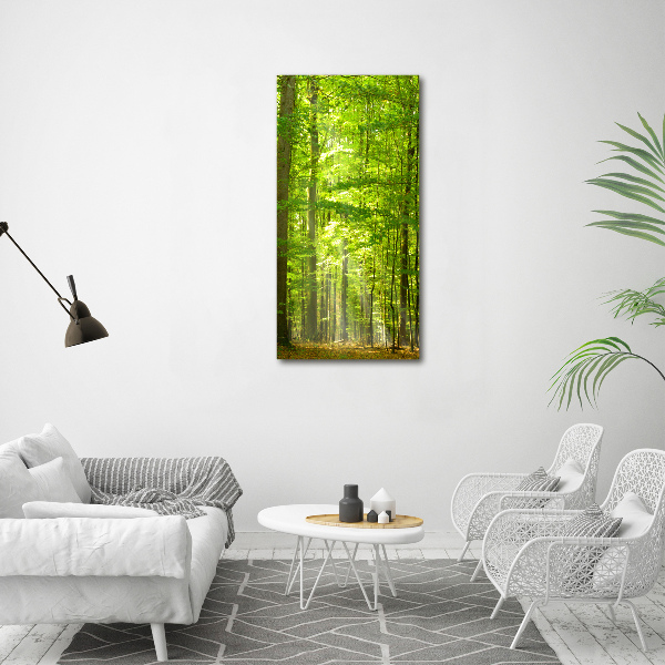 Cuadro canvas decorativo para salón vertical bosque de hayas