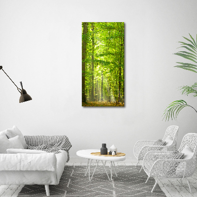 Cuadro canvas decorativo para salón vertical bosque de hayas