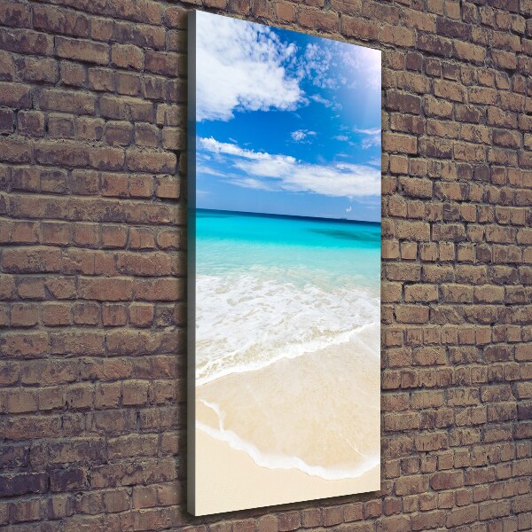 Cuadro canvas decorativo para salón vertical Playa tropical