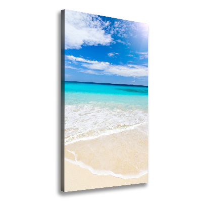 Cuadro canvas decorativo para salón vertical Playa tropical