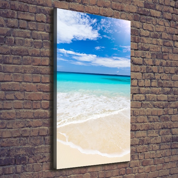 Cuadro canvas decorativo para salón vertical Playa tropical
