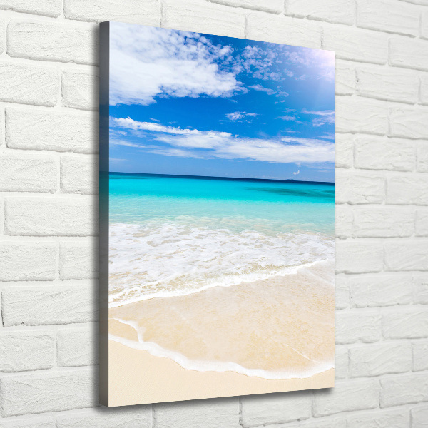 Cuadro canvas decorativo para salón vertical Playa tropical