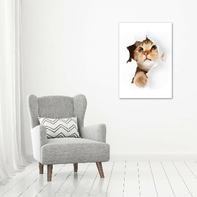 Foto obraz canvas pionowy Kot