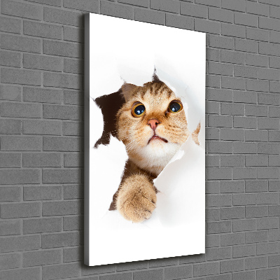 Impresión en lienzo vertical Gato