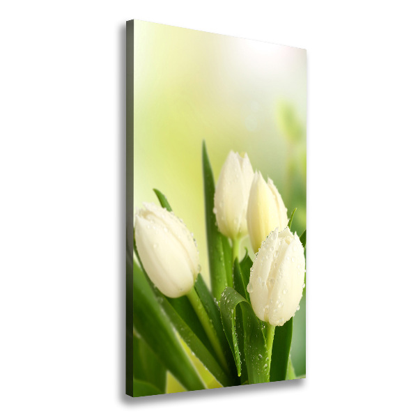 Cuadro canvas decorativo para salón vertical tulipanes blancos