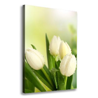 Cuadro canvas decorativo para salón vertical tulipanes blancos