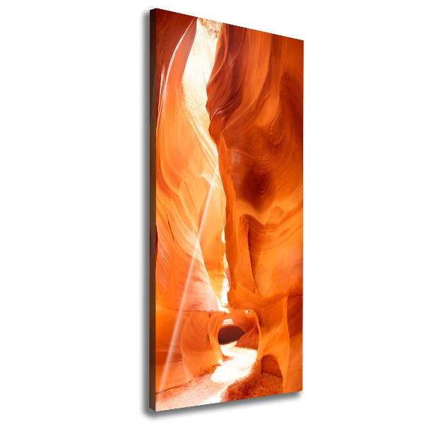 Cuadro canvas decorativo para salón vertical Cañón