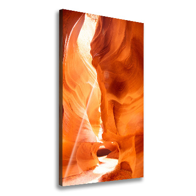 Cuadro canvas decorativo para salón vertical Cañón