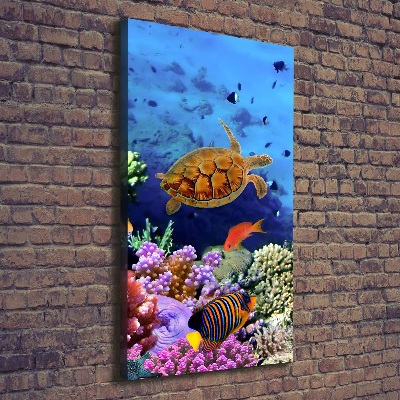 Cuadro canvas decorativo para salón vertical Arrecife de coral