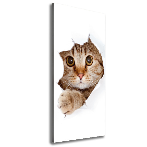 Cuadro moderno en lienzo resistente uv vertical Gato
