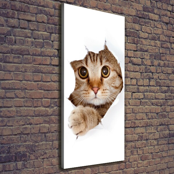Cuadro moderno en lienzo resistente uv vertical Gato