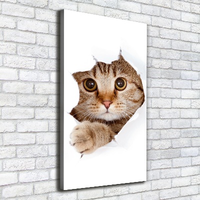 Cuadro moderno en lienzo resistente uv vertical Gato