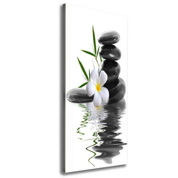Cuadro canvas decorativo para salón vertical Orquídea y piedras