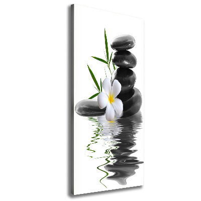 Cuadro canvas decorativo para salón vertical Orquídea y piedras