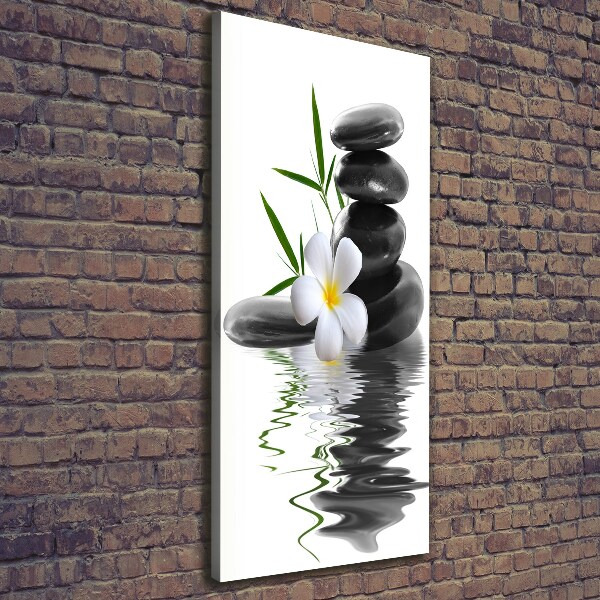 Cuadro canvas decorativo para salón vertical Orquídea y piedras