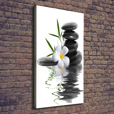 Cuadro canvas decorativo para salón vertical Orquídea y piedras