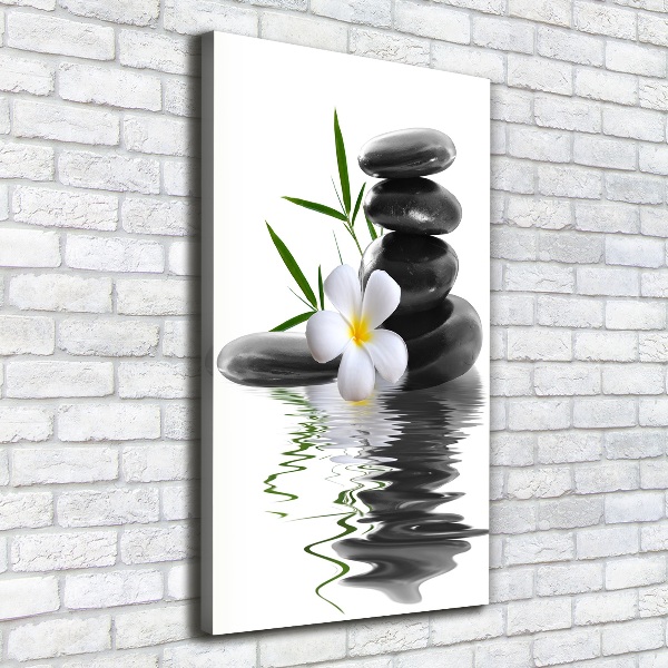 Cuadro canvas decorativo para salón vertical Orquídea y piedras