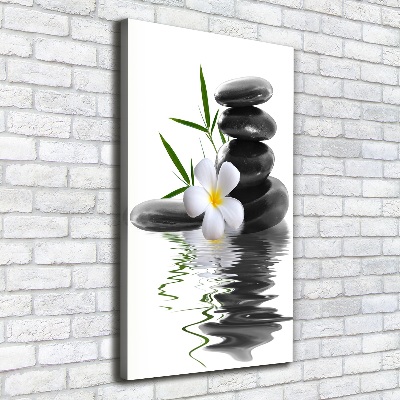 Cuadro canvas decorativo para salón vertical Orquídea y piedras