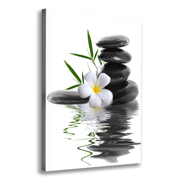 Cuadro canvas decorativo para salón vertical Orquídea y piedras