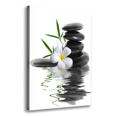 Cuadro canvas decorativo para salón vertical Orquídea y piedras