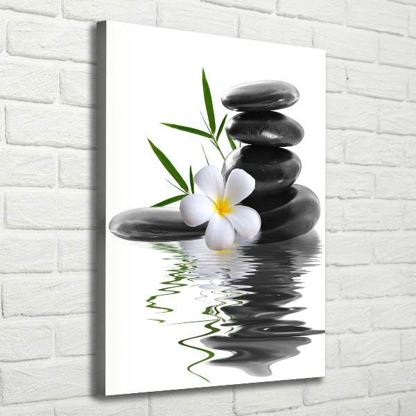 Cuadro canvas decorativo para salón vertical Orquídea y piedras