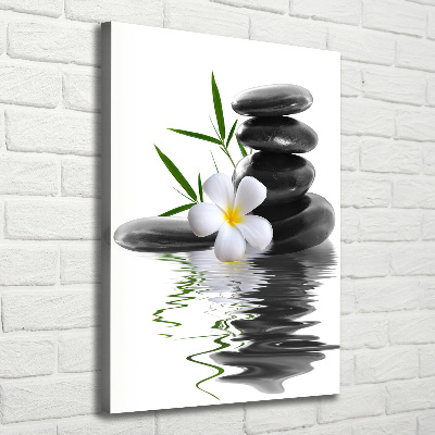 Cuadro canvas decorativo para salón vertical Orquídea y piedras