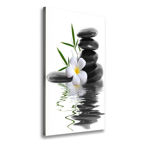 Cuadro canvas decorativo para salón vertical Orquídea y piedras