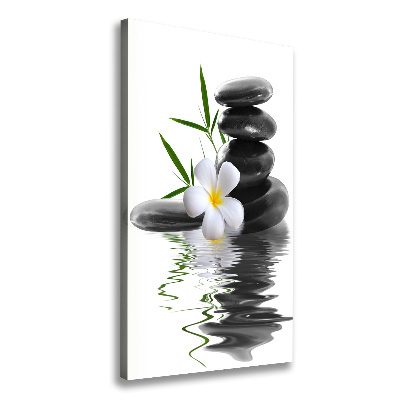 Cuadro canvas decorativo para salón vertical Orquídea y piedras