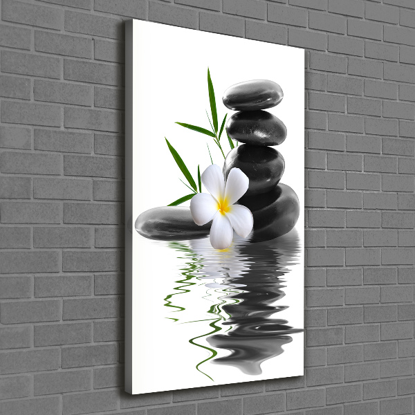 Cuadro canvas decorativo para salón vertical Orquídea y piedras