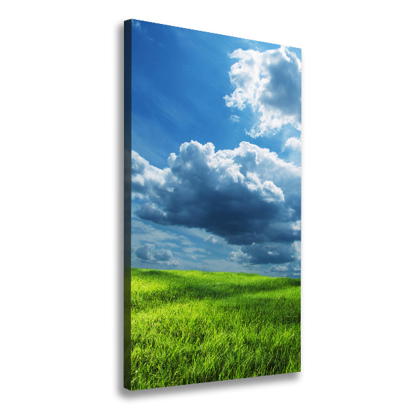 Fotografía en lienzo vertical Nubes sobre el campo
