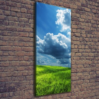 Fotografía en lienzo vertical Nubes sobre el campo