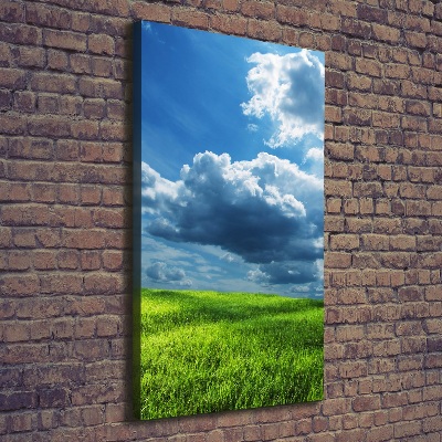 Fotografía en lienzo vertical Nubes sobre el campo