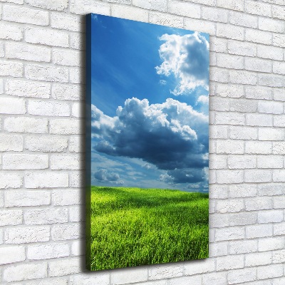 Fotografía en lienzo vertical Nubes sobre el campo