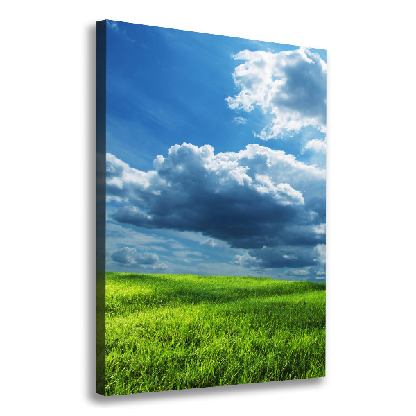 Fotografía en lienzo vertical Nubes sobre el campo