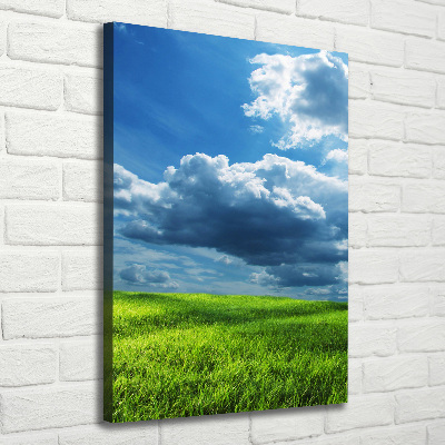 Fotografía en lienzo vertical Nubes sobre el campo