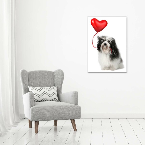 Cuadro canvas decorativo para salón vertical Bichón habanero con un globo