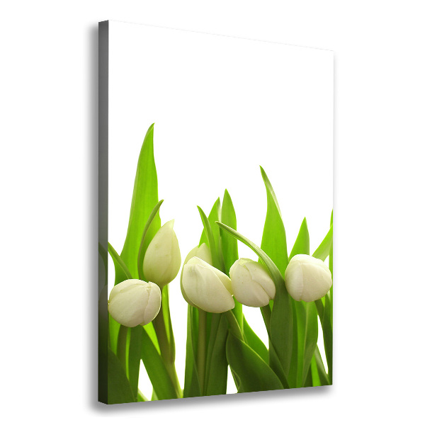 Cuadro canvas decorativo para salón vertical tulipanes blancos