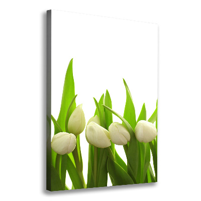 Cuadro canvas decorativo para salón vertical tulipanes blancos