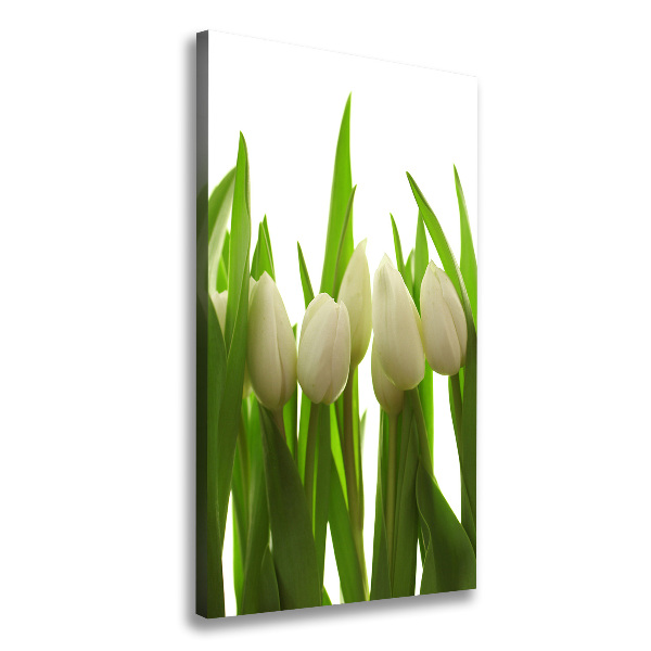 Cuadro moderno en lienzo resistente uv vertical tulipanes blancos
