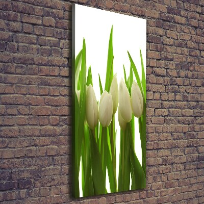 Cuadro moderno en lienzo resistente uv vertical tulipanes blancos