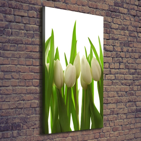 Cuadro moderno en lienzo resistente uv vertical tulipanes blancos