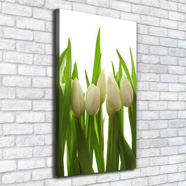 Cuadro moderno en lienzo resistente uv vertical tulipanes blancos