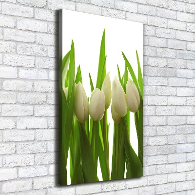 Cuadro moderno en lienzo resistente uv vertical tulipanes blancos