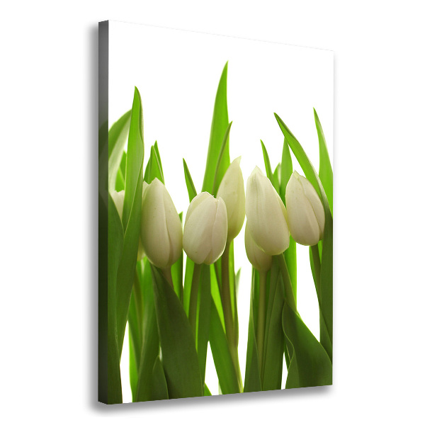 Cuadro moderno en lienzo resistente uv vertical tulipanes blancos