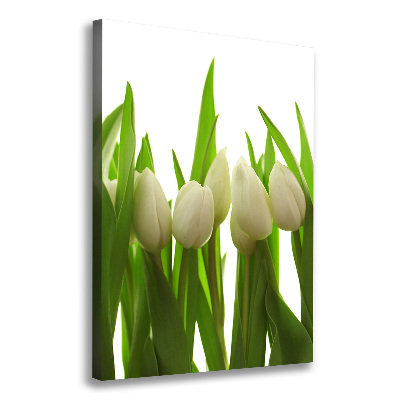 Cuadro moderno en lienzo resistente uv vertical tulipanes blancos