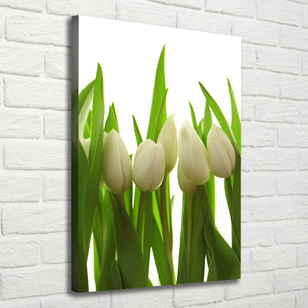 Cuadro moderno en lienzo resistente uv vertical tulipanes blancos