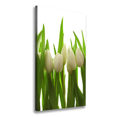 Cuadro moderno en lienzo resistente uv vertical tulipanes blancos
