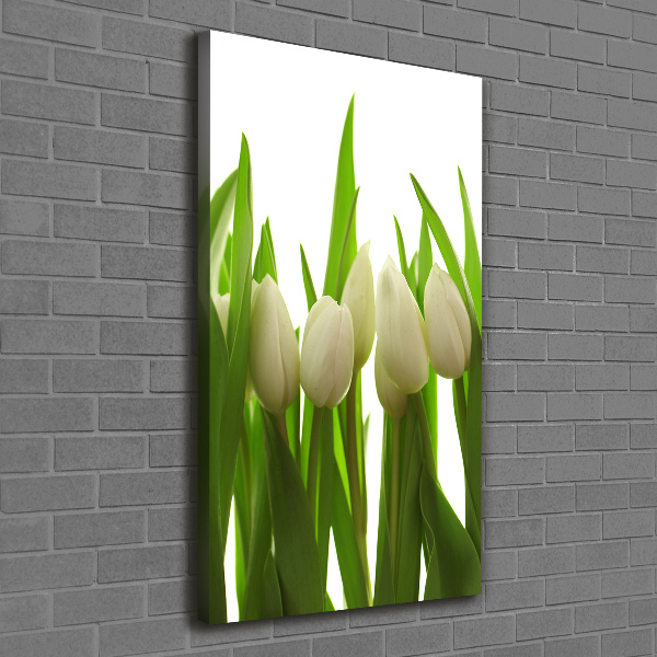 Cuadro moderno en lienzo resistente uv vertical tulipanes blancos